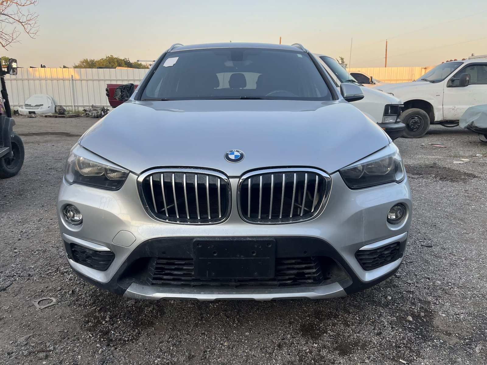 WhatsApp Image 2024-10-20 at 3.59.44 PM