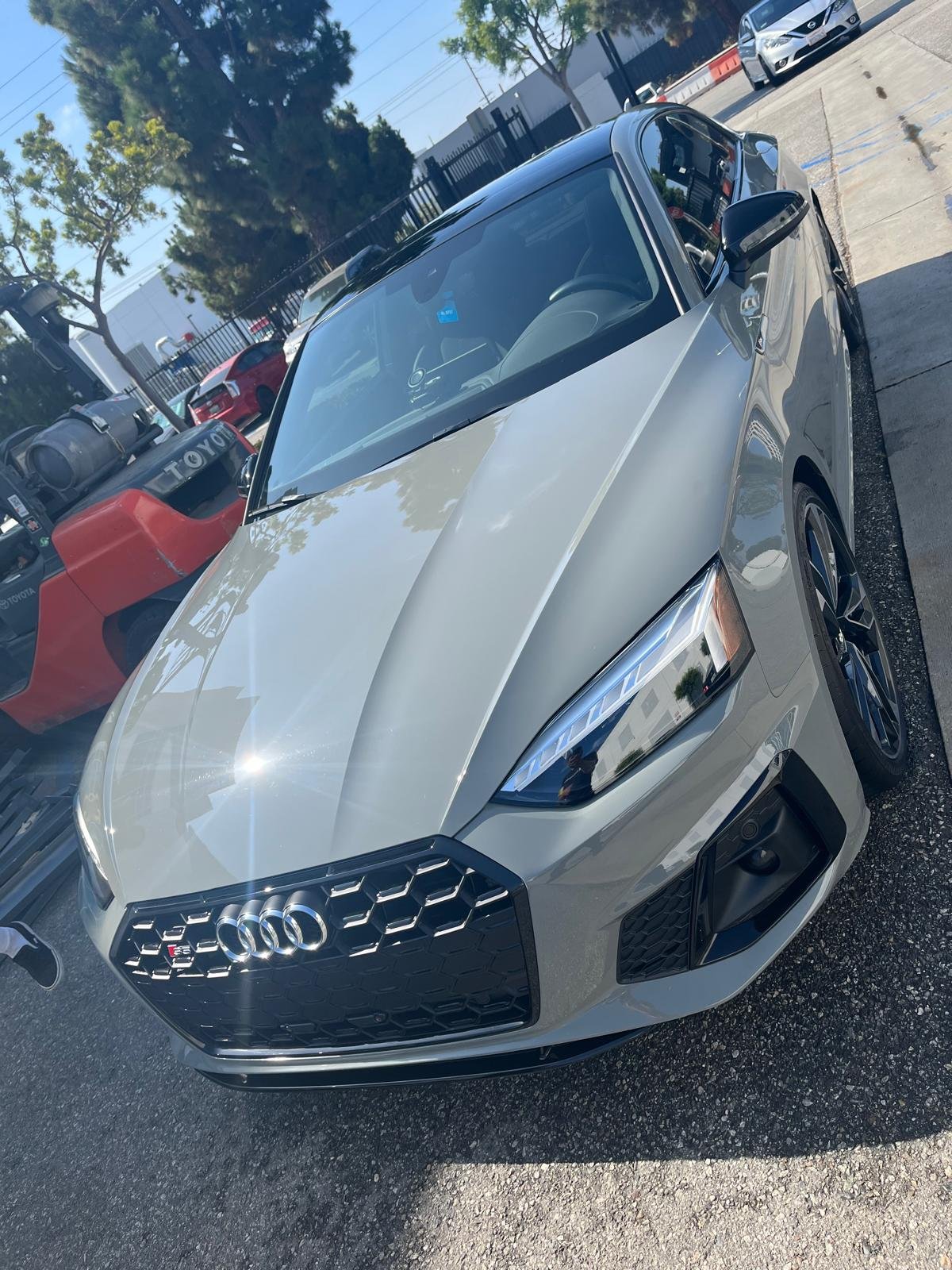 WhatsApp Image 2024-11-21 at 11.03.52 AM