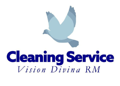 Cleaning Service Vision Divina RM