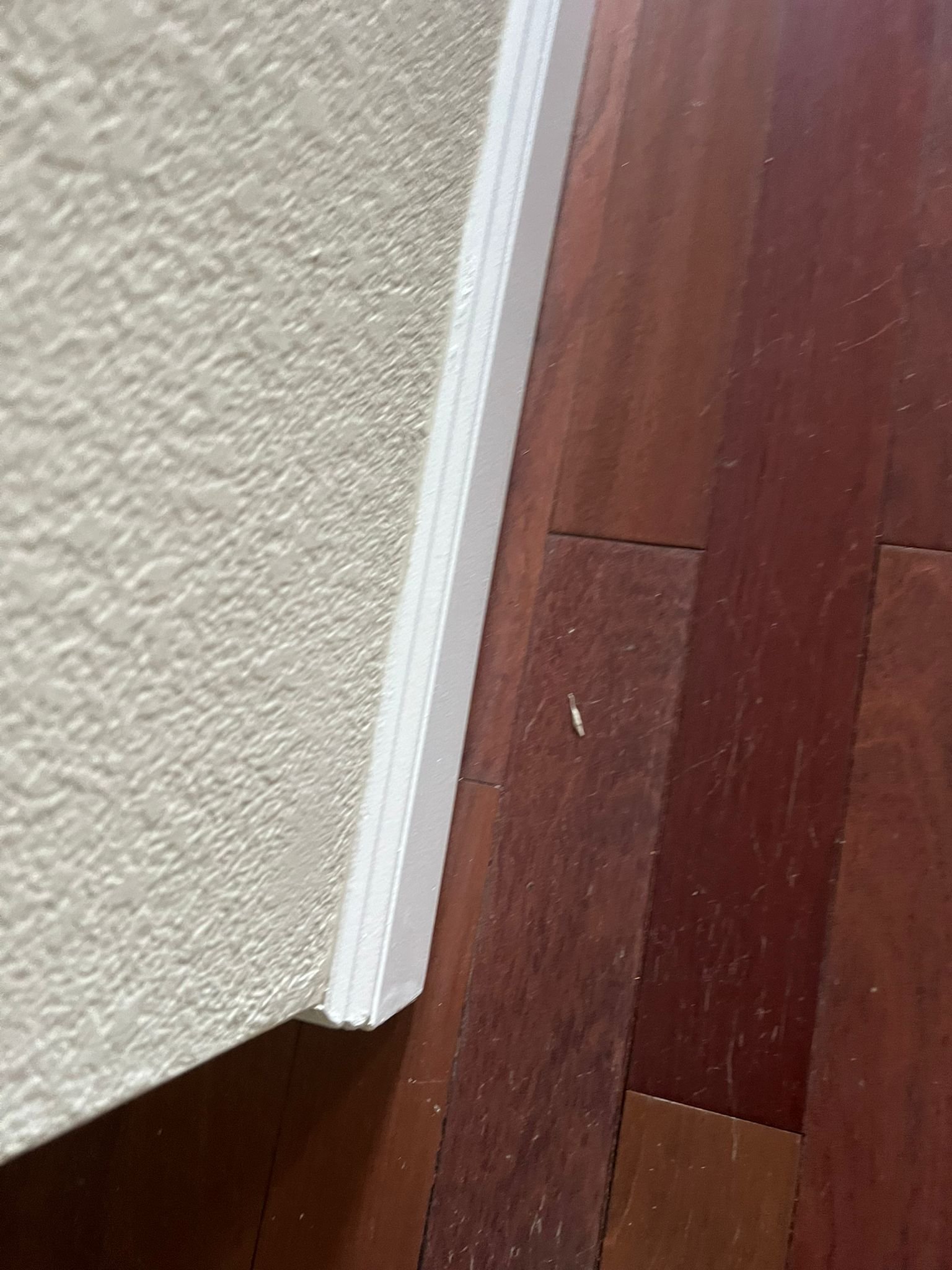 WhatsApp Image 2025-01-08 at 8.17.41 PM (1)