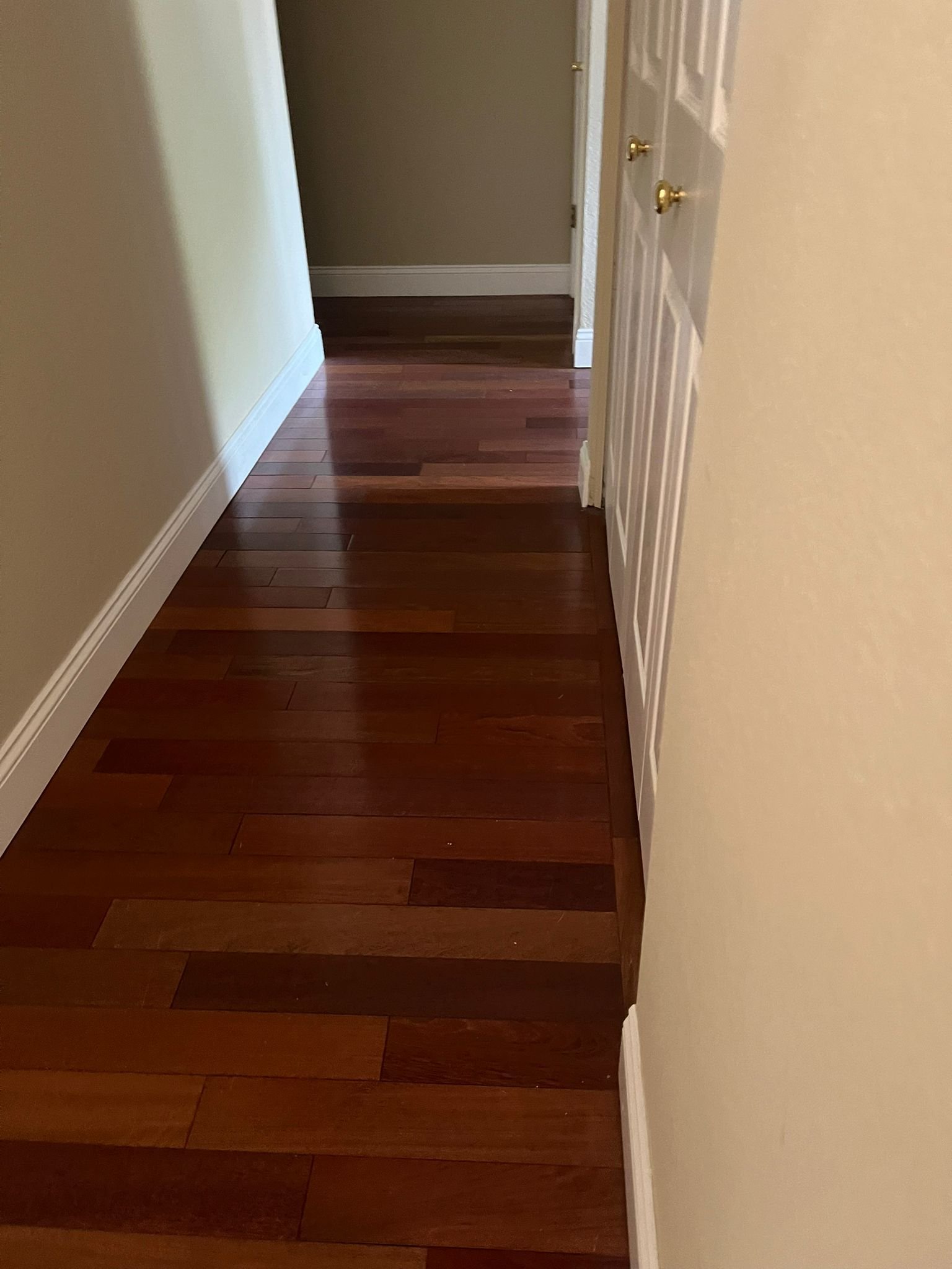 WhatsApp Image 2025-01-08 at 8.17.41 PM