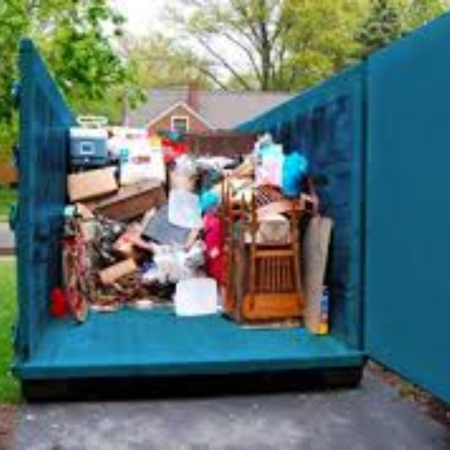 Eagle Dumpster and junk removal (1)
