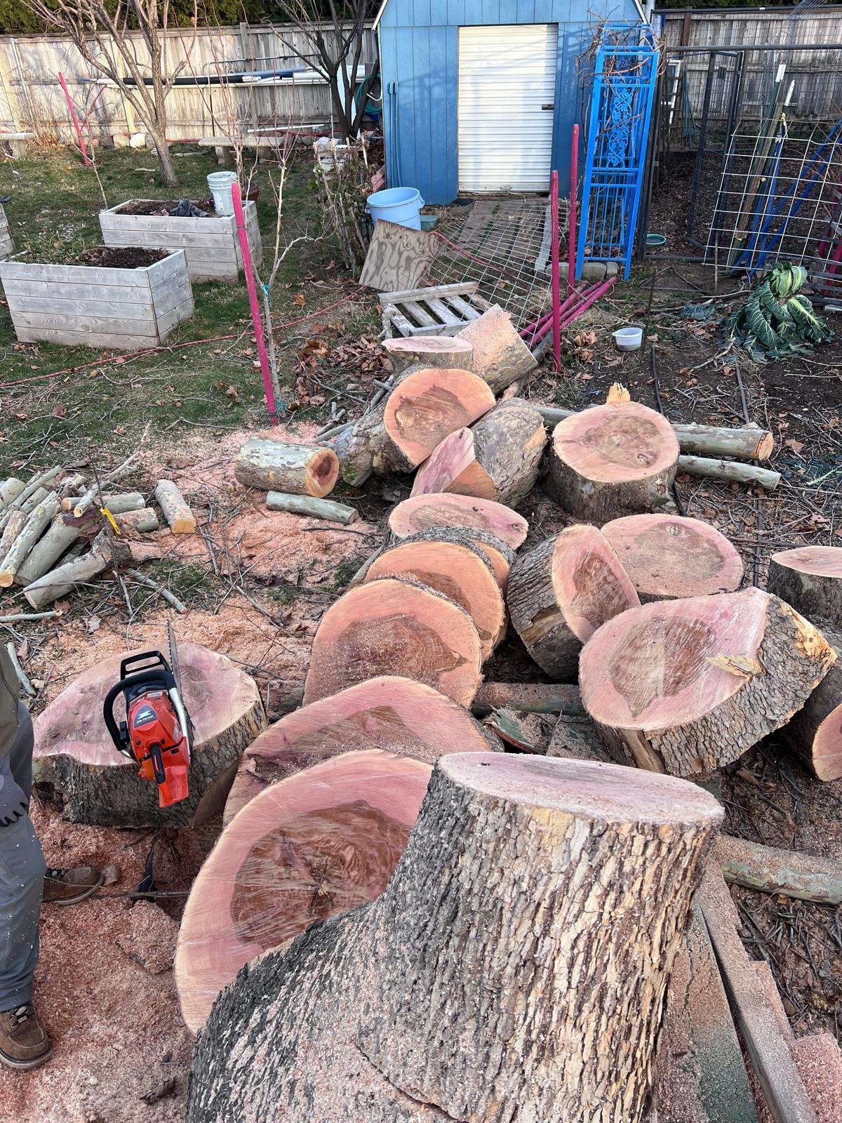 WhatsApp Image 2025-03-23 at 4.18.30 PM (1)