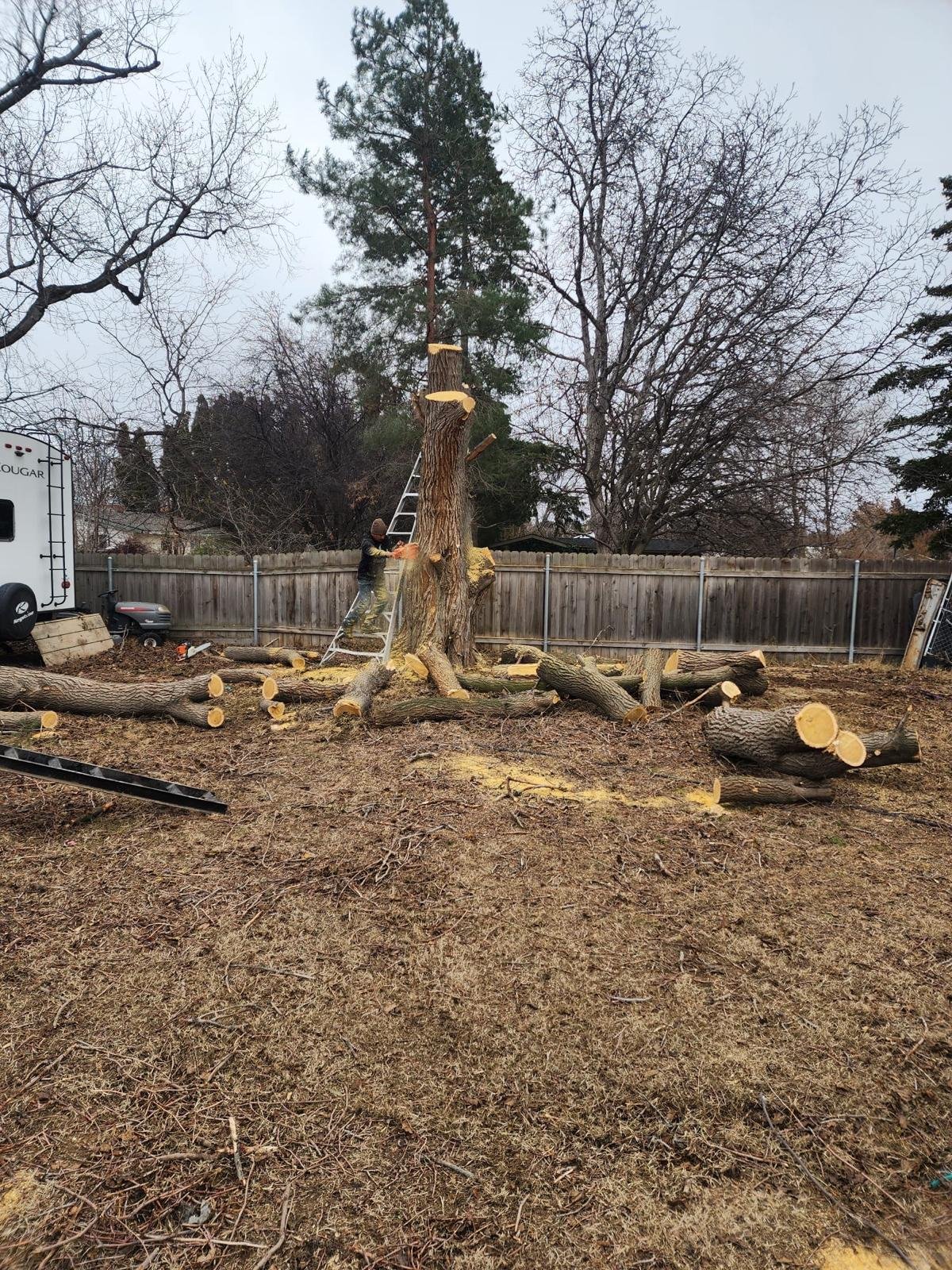 WhatsApp Image 2025-03-23 at 4.18.31 PM (7)