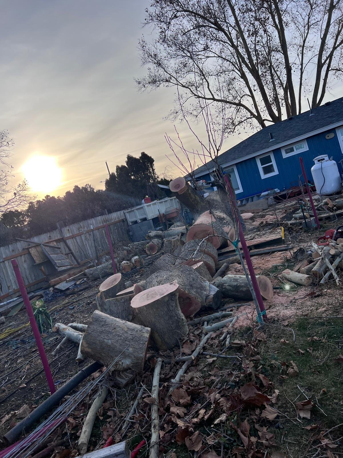 WhatsApp Image 2025-03-23 at 4.18.31 PM (8)